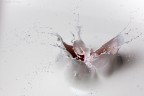 Splash #1 Splash #1