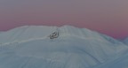 Freddo rosa Freddo rosa