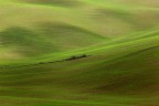 Paesaggi toscani