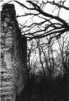 Foto di una vecchia casa di campagna dirocata in un bosco. La giornata era molto uggiosa e aumentava il senso di morte del luogo...non so quanto sono riuscito a rendere la cosa.
(mi scuso ma lo scanner � quello che � e la foto non � molto definita...inoltre...aldil� della acquisizione, anche l'originale � abbastanza sgranata, � il tipo di pellicola o la poca luce?Ho usato una Tmax400 tirata a 800)