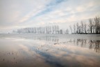 Cold quietness Cold quietness