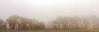 nebbia teverina nebbia teverina