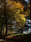 Autunno (solito2) Autunno (solito2)