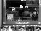Tanti sguardi
