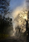 nebbia nebbia
