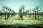 Paesaggio interiore Paesaggio interiore
