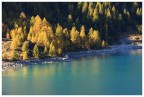 Autunno sul lago alpino Autunno sul lago alpino