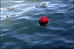 Il pallone rosso Il pallone rosso