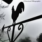 Verso Nord??? - Iphonography