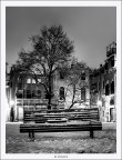 waiting for someone to share the night waiting for someone to share the night