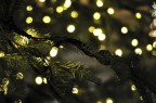 Buone feste! Buone feste!