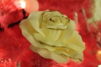 Rosa dorata natalizia Rosa dorata natalizia