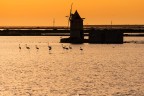 Tramonto sul mare Tramonto sul mare