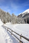 Cammino verso la malga Cammino verso la malga