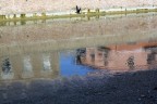 riflessi nel misa riflessi nel misa