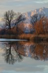 Riflessi Riflessi