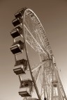 paris roue paris roue