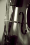 Violino Violino