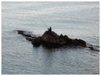 La passione per la pesca