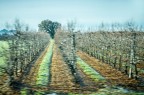 I luoghi dell'anima I luoghi dell'anima