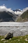 Aletsch horn Aletsch horn