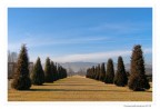 Venaria Reale