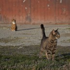 quando finisce un amore