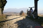 Moto ritratto Moto ritratto