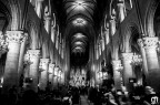 Inside Notre Dame Inside Notre Dame