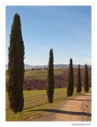 Toscana: gennaio Toscana: gennaio