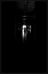 Verso la luce Verso la luce