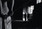 antigone antigone