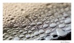 drops drops
