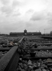 La passione a Birkenau