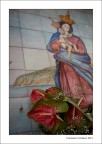 Un Cuore Marinaro 2013