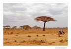 /frica /frica
