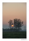 2013/04 2013/04
