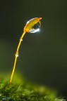 Il lampione della luce Il lampione della luce