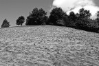 terra-cielo terra-cielo