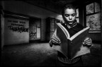 the reader the reader