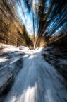 Fast in the wood Fast in the wood