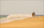ocean..... ocean.....