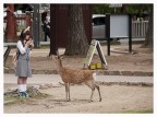 Nara Nara