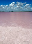 Pink lake 3 Pink lake 3