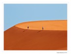 DesertU DesertU