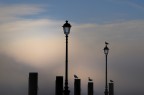 Sentinels Sentinels