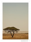 Etosha pan