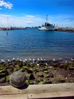 WilliamsTown WilliamsTown