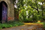 autumn autumn