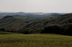 PAESAGGIO SENESE PAESAGGIO SENESE